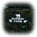 Runway Farm Technical Park